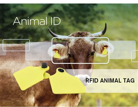 animal tag rfid data logger|rfid tags for animals.